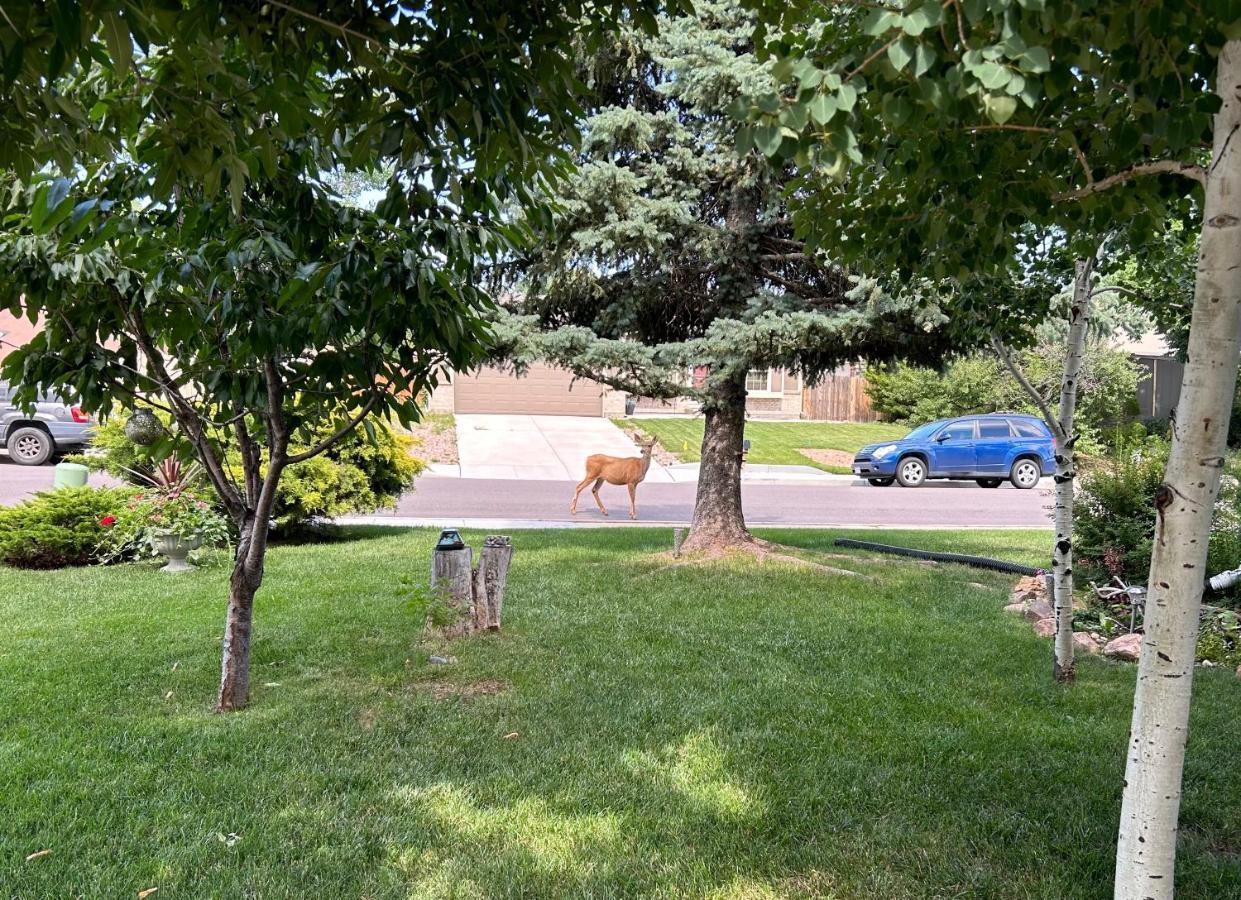 A Colorado Room With A View - King Colorado Springs Exterior photo